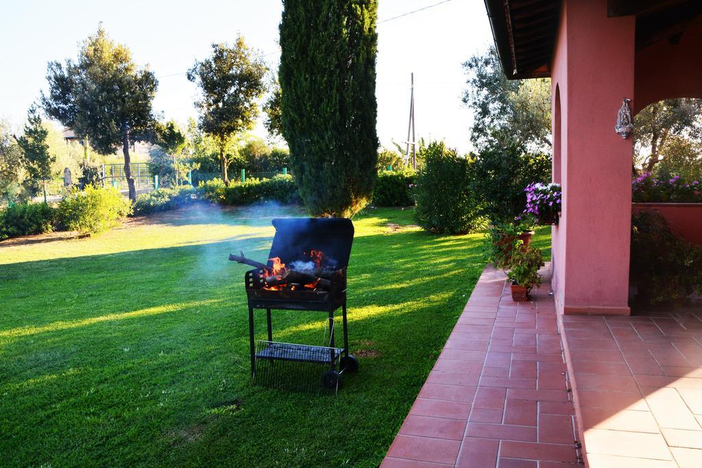 Agriturismo L'Aquilone Magliano in Toscana Exteriér fotografie