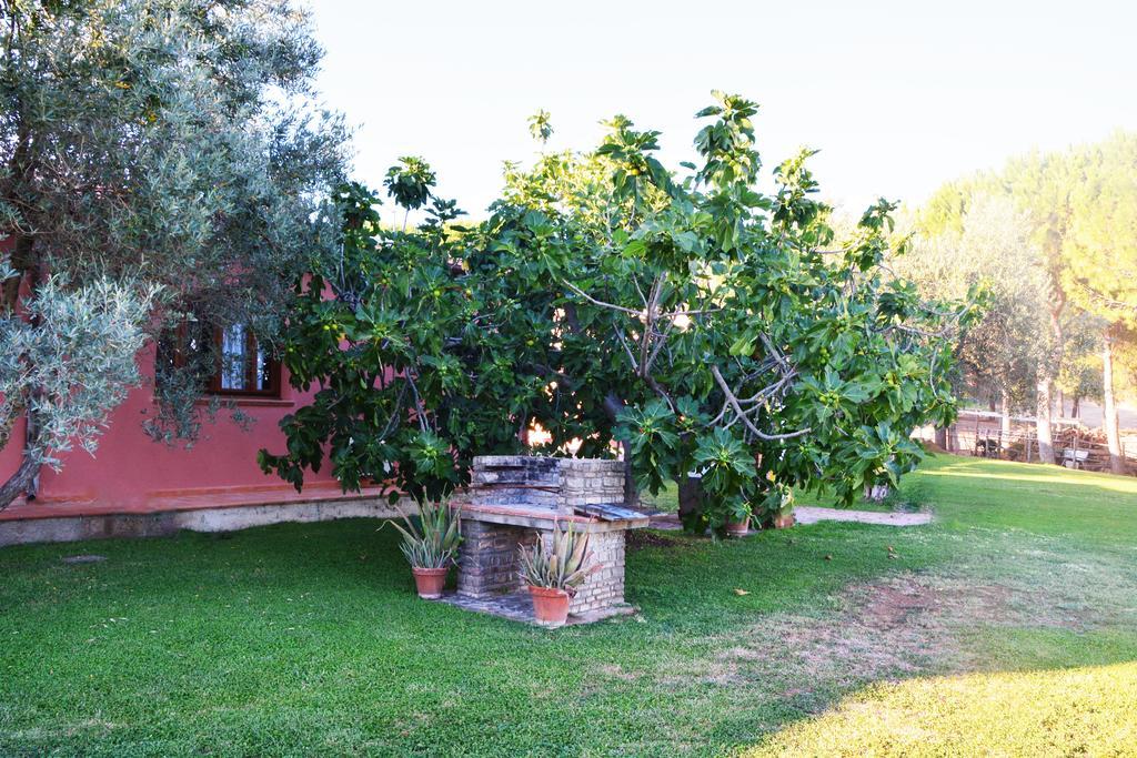 Agriturismo L'Aquilone Magliano in Toscana Exteriér fotografie