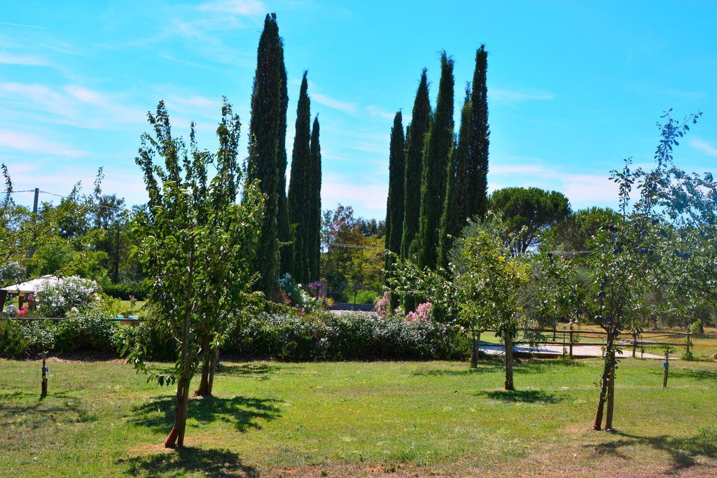 Agriturismo L'Aquilone Magliano in Toscana Exteriér fotografie