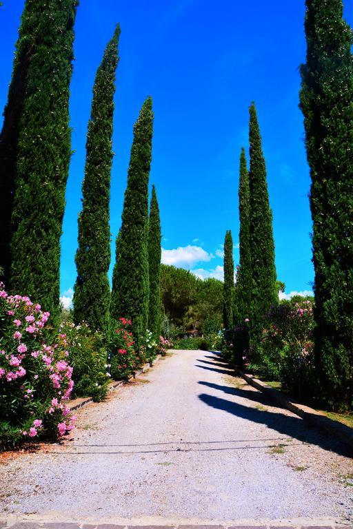 Agriturismo L'Aquilone Magliano in Toscana Exteriér fotografie