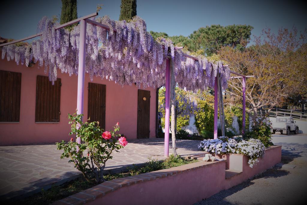 Agriturismo L'Aquilone Magliano in Toscana Exteriér fotografie
