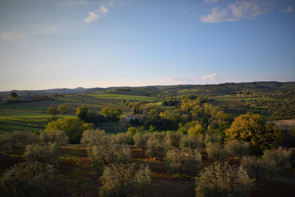 Agriturismo L'Aquilone Magliano in Toscana Exteriér fotografie